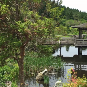 私の落ち着く場所。遠野町にて☀︎の画像