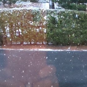 粉雪の画像
