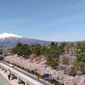さくらまつりの画像