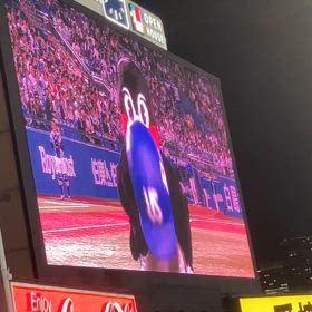 本日のつば九郎の画像