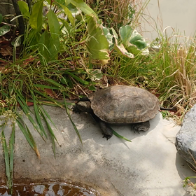 活動期に向けての画像