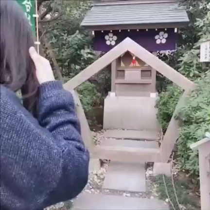 安閑恬静の記事動画