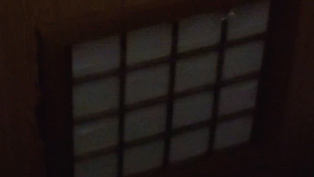 ヒカリ（タイトル変更）の記事動画
