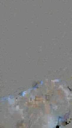 おまめちゃんの記事動画