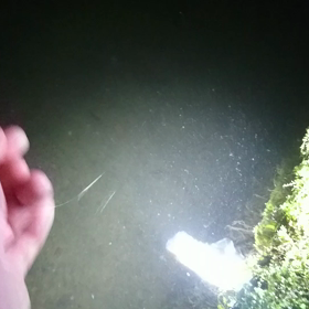 スイムテストの画像