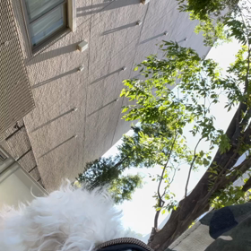 しんどの画像