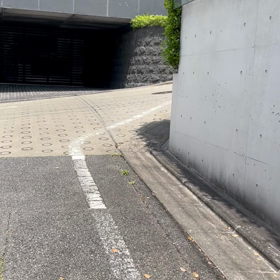 散歩の画像