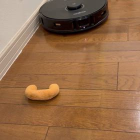ガン見の画像
