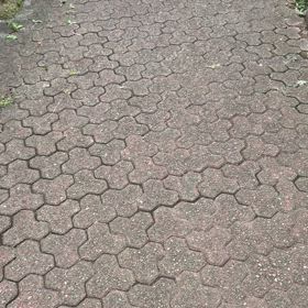 木曜日の画像