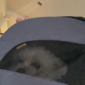 えへへの画像