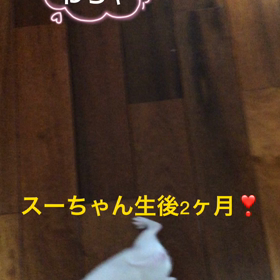 わちゃわちゃの画像