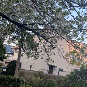 朝のウォーキングの画像