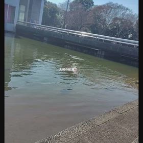 つくば中央公園で船ラジの画像