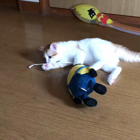 大好きなオモチャの画像