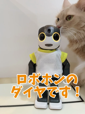 お見合いで結婚を意識するには・・の記事動画