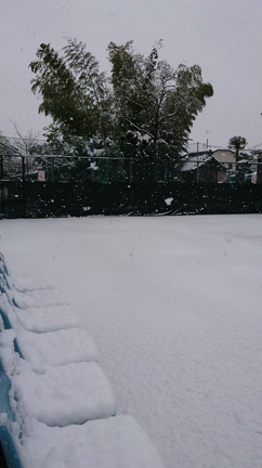 久し振りの降雪の記事動画