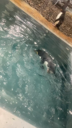 温泉デトックスの記事動画