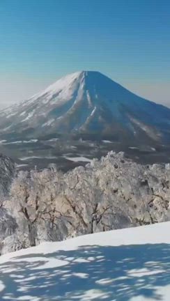 お一人一人の輝きをみて♫新年のご挨拶の記事動画