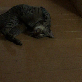 ひっこし。の画像