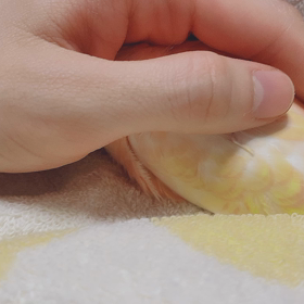aloが調子悪そうの画像
