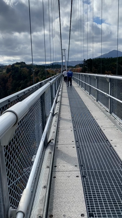 天空から紅葉を一望！九重夢大橋からの絶景の記事動画