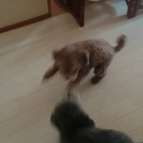下にいくほど(おなすプー)の画像