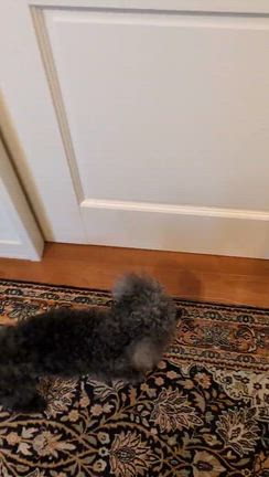 みんな♪みんな♪の記事動画