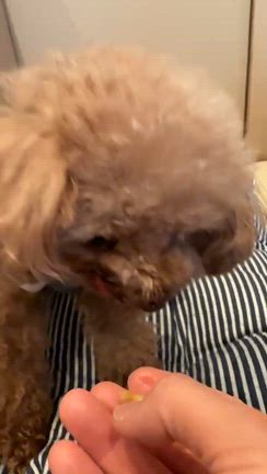 みんな♪みんな♪の記事動画