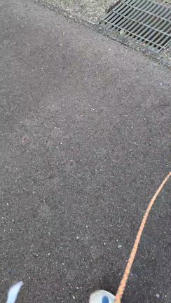 みんな♪みんな♪の記事動画