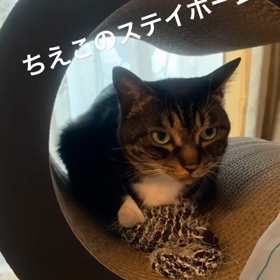 ステイホームの画像