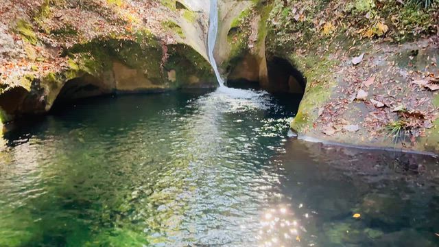 みにくいアヒルの子 〜龍鎮神社の記事動画