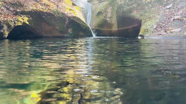 みにくいアヒルの子 〜龍鎮神社の記事動画