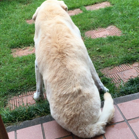 今日は元気です！の画像