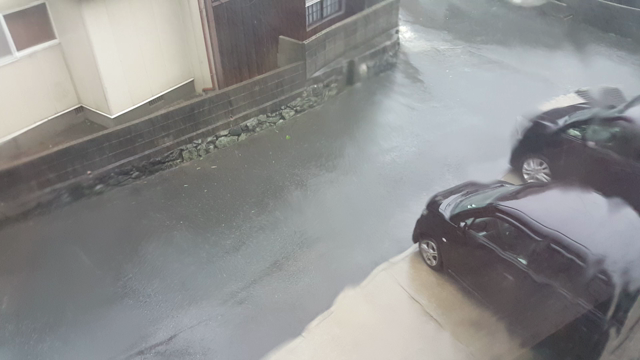 台風１５号の記事動画