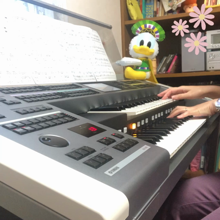 天城越え弾いてみました！の記事動画