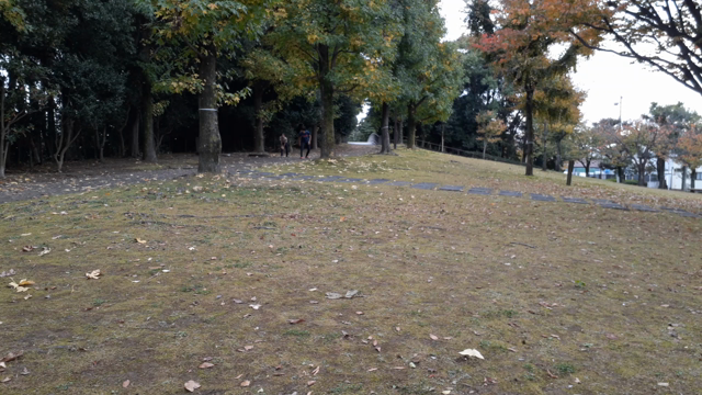 早朝20キロランと公園遊び。の記事動画