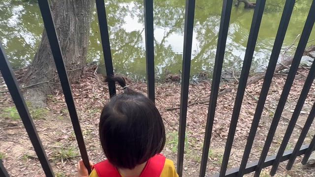 またまたまたまた地元豊中へ♪の記事動画