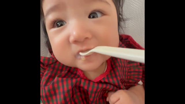 離乳食な日々♪の記事動画