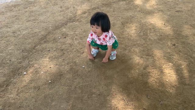 すー女♪の記事動画