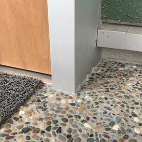 アリに占領されそうの画像