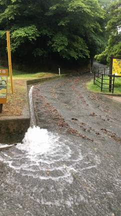 雨の水辺公園の記事動画