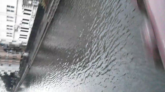 動画その２！の記事動画