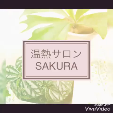SAKURAイメージ動画と右脳活性化の記事動画