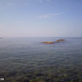 本日は晴れの画像