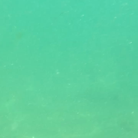 海に潜りたい母のためにの画像