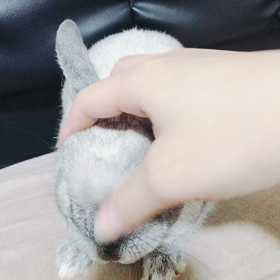 けっけふわー！の画像