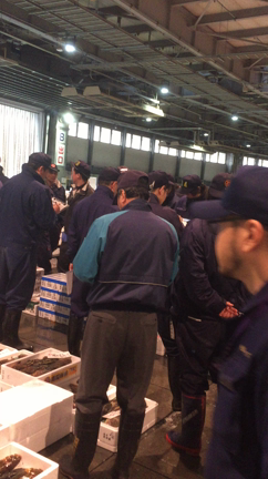 札幌中央卸売市場の記事動画