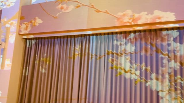 ひと足早く春爛漫〜豊岡円山川ロータリークラブ観桜例会〜の記事動画