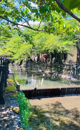 城崎温泉街で風鈴の音色で涼をお楽しみくださいの記事動画