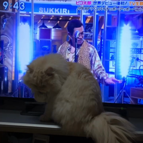 PPAP おまけぇ！の画像